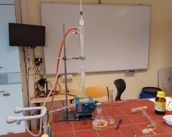 Projekwoche2024_Lebensmittelchemie-4.jpg
