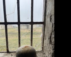 Exkursion-Sandbostel-9Hs-2025-12.jpeg