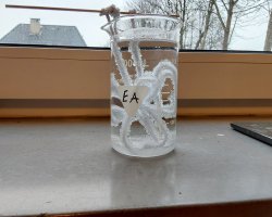 Projekwoche2024_Lebensmittelchemie-5.jpg