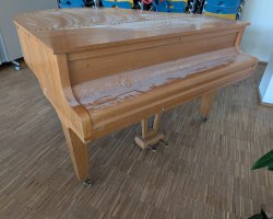 Fluegelprojekt-4.jpg