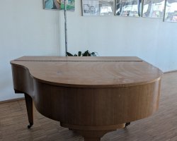 Fluegelprojekt-1.jpg