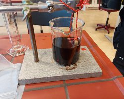 Projekwoche2024_Lebensmittelchemie-3.jpg