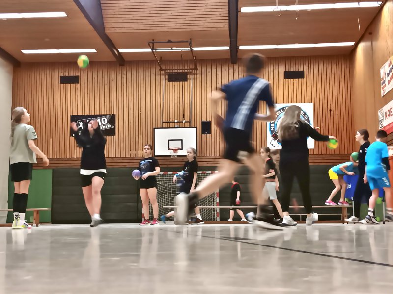 Projektwoche2024_Handball-4.jpg