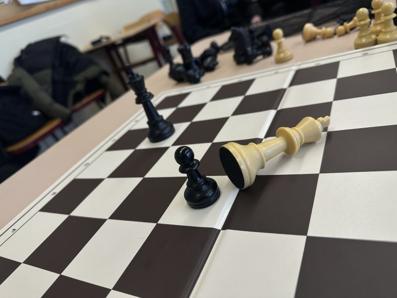 Schach-1.jpeg